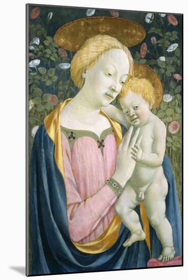 Madonna and Child, C.1445-1450-Domenico Veneziano-Mounted Giclee Print