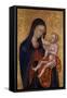 Madonna and Child, C.1445-47-Giovanni di Paolo di Grazia-Framed Stretched Canvas