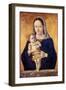 Madonna and Child, C.1465-Marco Zoppo-Framed Giclee Print