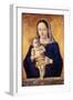 Madonna and Child, C.1465-Marco Zoppo-Framed Giclee Print