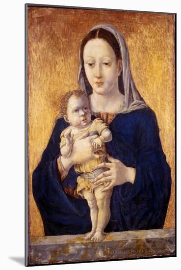 Madonna and Child, C.1465-Marco Zoppo-Mounted Giclee Print