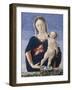 Madonna and Child, c.1467-8-Marco Zoppo-Framed Giclee Print