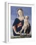 Madonna and Child, c.1467-8-Marco Zoppo-Framed Giclee Print