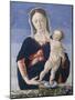 Madonna and Child, c.1467-8-Marco Zoppo-Mounted Giclee Print