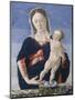 Madonna and Child, c.1467-8-Marco Zoppo-Mounted Giclee Print