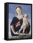 Madonna and Child, c.1467-8-Marco Zoppo-Framed Stretched Canvas