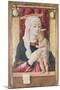 Madonna and Child, C.1468-Carlo Crivelli-Mounted Giclee Print