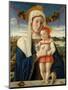 Madonna and Child, c.1470-Giovanni Bellini-Mounted Giclee Print