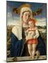 Madonna and Child, c.1470-Giovanni Bellini-Mounted Giclee Print