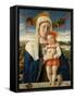 Madonna and Child, c.1470-Giovanni Bellini-Framed Stretched Canvas