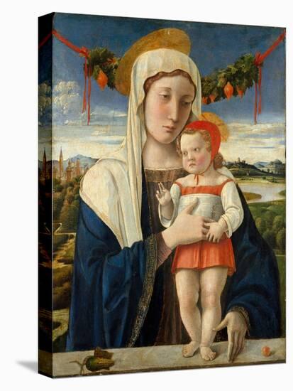 Madonna and Child, c.1470-Giovanni Bellini-Stretched Canvas