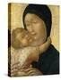 Madonna and Child, C.1470-Liberale da Verona-Stretched Canvas