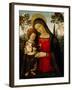 Madonna and Child, c.1490-1495-Bernardino di Betto Pinturicchio-Framed Giclee Print