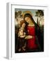 Madonna and Child, c.1490-1495-Bernardino di Betto Pinturicchio-Framed Giclee Print