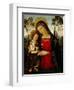 Madonna and Child, c.1490-1495-Bernardino di Betto Pinturicchio-Framed Giclee Print