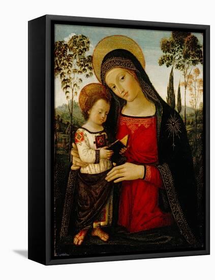 Madonna and Child, c.1490-1495-Bernardino di Betto Pinturicchio-Framed Stretched Canvas