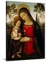 Madonna and Child, c.1490-1495-Bernardino di Betto Pinturicchio-Stretched Canvas