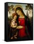 Madonna and Child, c.1490-1495-Bernardino di Betto Pinturicchio-Framed Stretched Canvas