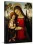 Madonna and Child, c.1490-1495-Bernardino di Betto Pinturicchio-Stretched Canvas