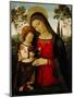 Madonna and Child, c.1490-1495-Bernardino di Betto Pinturicchio-Mounted Premium Giclee Print