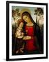 Madonna and Child, c.1490-1495-Bernardino di Betto Pinturicchio-Framed Giclee Print