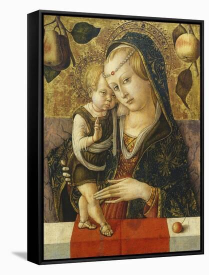 Madonna and Child, C. 1490-Carlo Crivelli-Framed Stretched Canvas