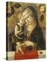 Madonna and Child, C. 1490-Carlo Crivelli-Stretched Canvas