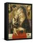 Madonna and Child, C. 1490-Carlo Crivelli-Framed Stretched Canvas