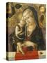 Madonna and Child, C. 1490-Carlo Crivelli-Stretched Canvas