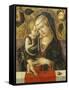 Madonna and Child, C. 1490-Carlo Crivelli-Framed Stretched Canvas