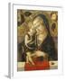 Madonna and Child, C. 1490-Carlo Crivelli-Framed Giclee Print