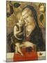 Madonna and Child, C. 1490-Carlo Crivelli-Mounted Giclee Print