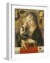 Madonna and Child, C. 1490-Carlo Crivelli-Framed Giclee Print