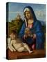 Madonna and Child, C.1500-04-Giovanni Battista Cima Da Conegliano-Stretched Canvas