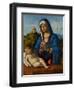 Madonna and Child, C.1500-04-Giovanni Battista Cima Da Conegliano-Framed Giclee Print