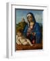 Madonna and Child, C.1500-04-Giovanni Battista Cima Da Conegliano-Framed Giclee Print