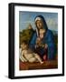 Madonna and Child, C.1500-04-Giovanni Battista Cima Da Conegliano-Framed Giclee Print