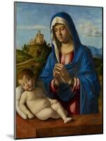 Madonna and Child, C.1500-04-Giovanni Battista Cima Da Conegliano-Mounted Giclee Print