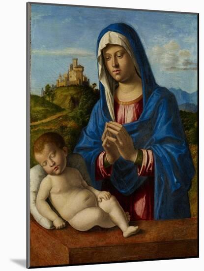 Madonna and Child, C.1500-04-Giovanni Battista Cima Da Conegliano-Mounted Giclee Print