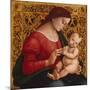 Madonna and Child, c.1505-07-Luca Signorelli-Mounted Giclee Print
