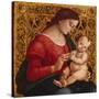 Madonna and Child, c.1505-07-Luca Signorelli-Stretched Canvas