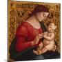 Madonna and Child, c.1505-07-Luca Signorelli-Mounted Giclee Print