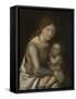 Madonna and Child, C.1505-1510-Andrea Mantegna-Framed Stretched Canvas