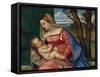 Madonna and Child, c.1508-Titian-Framed Stretched Canvas