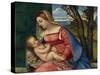 Madonna and Child, c.1508-Titian-Stretched Canvas