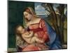 Madonna and Child, c.1508-Titian-Mounted Giclee Print