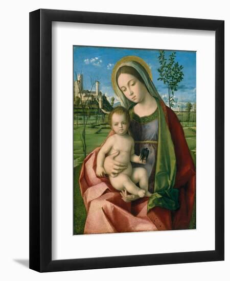 Madonna and Child, c.1510-Giovanni Bellini-Framed Giclee Print
