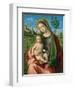 Madonna and Child, c.1510-Giovanni Bellini-Framed Giclee Print