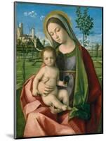 Madonna and Child, c.1510-Giovanni Bellini-Mounted Giclee Print