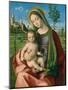 Madonna and Child, c.1510-Giovanni Bellini-Mounted Giclee Print